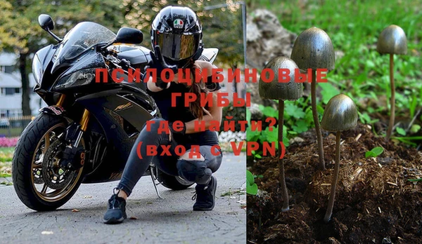 тгк Семикаракорск